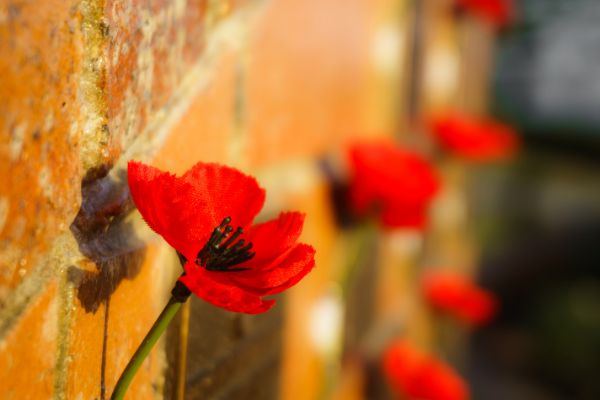 /uploaded_files/media/gallery/1739234697Anzac 2.png